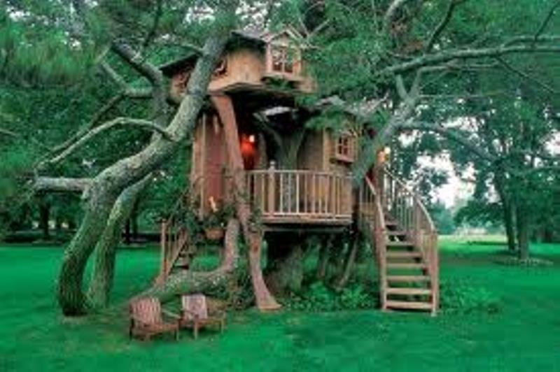 Desain Rumah Pohon 7